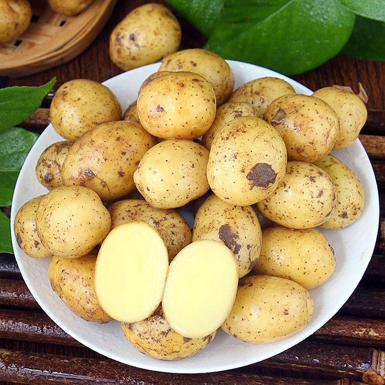 沙县青州新鲜小土豆10斤装