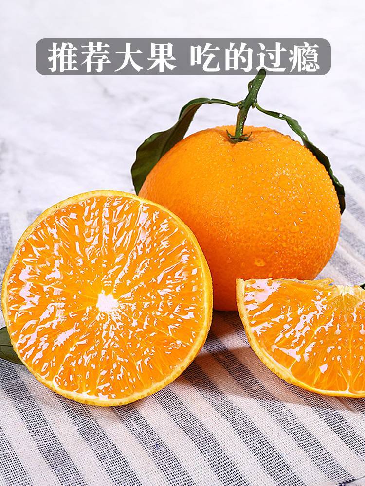 将乐白莲柑橘