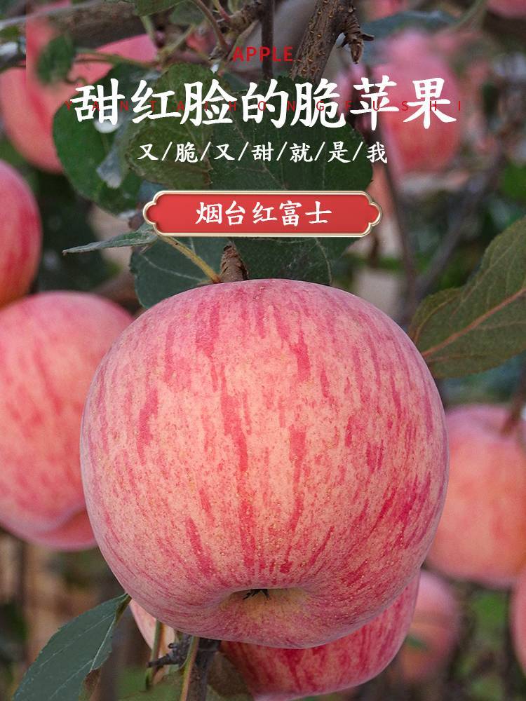 大田村苹果