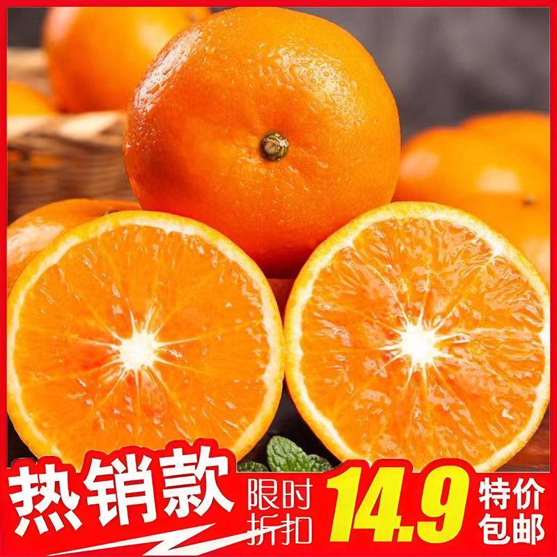 柑橘01